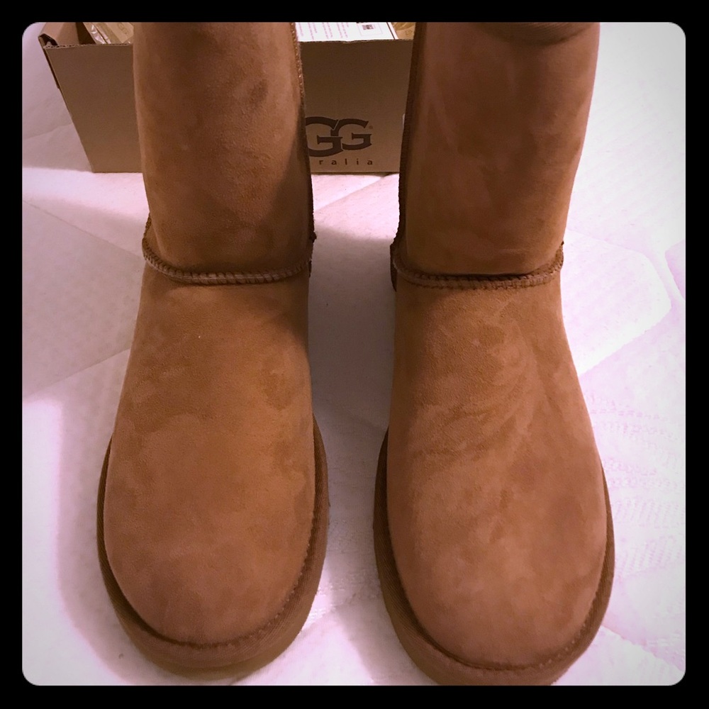 UGG W Short Classic Size 8 NIB